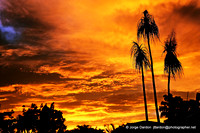 Sky on Fire